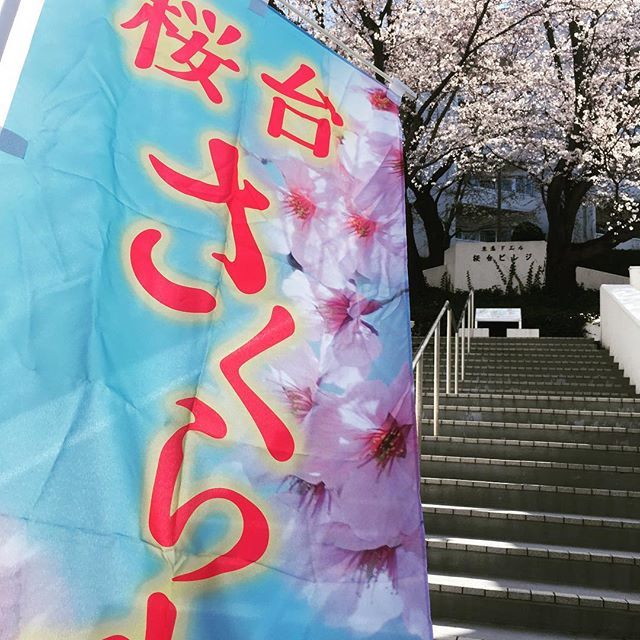 桜の開花予想が発表されました。